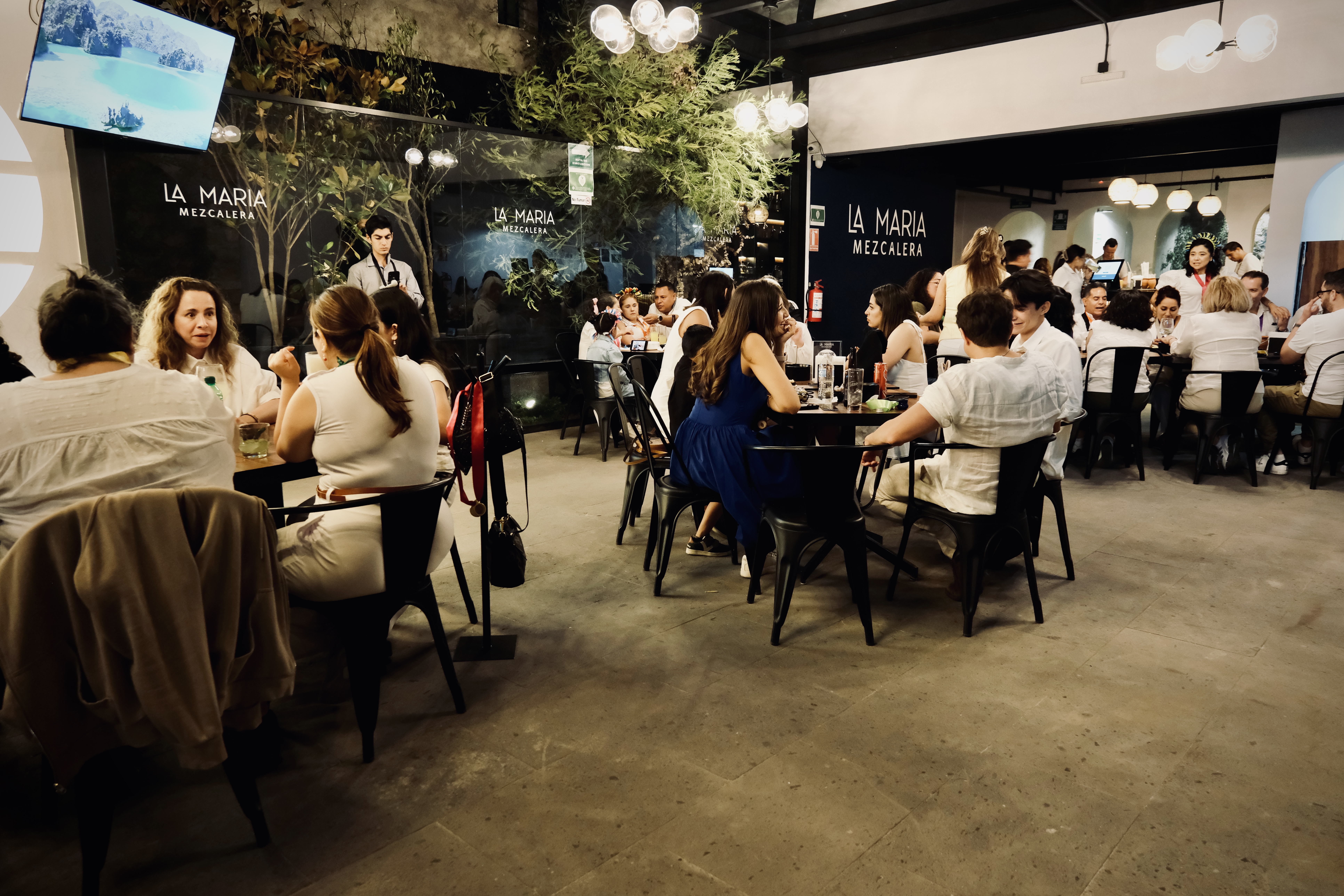 Galería 7